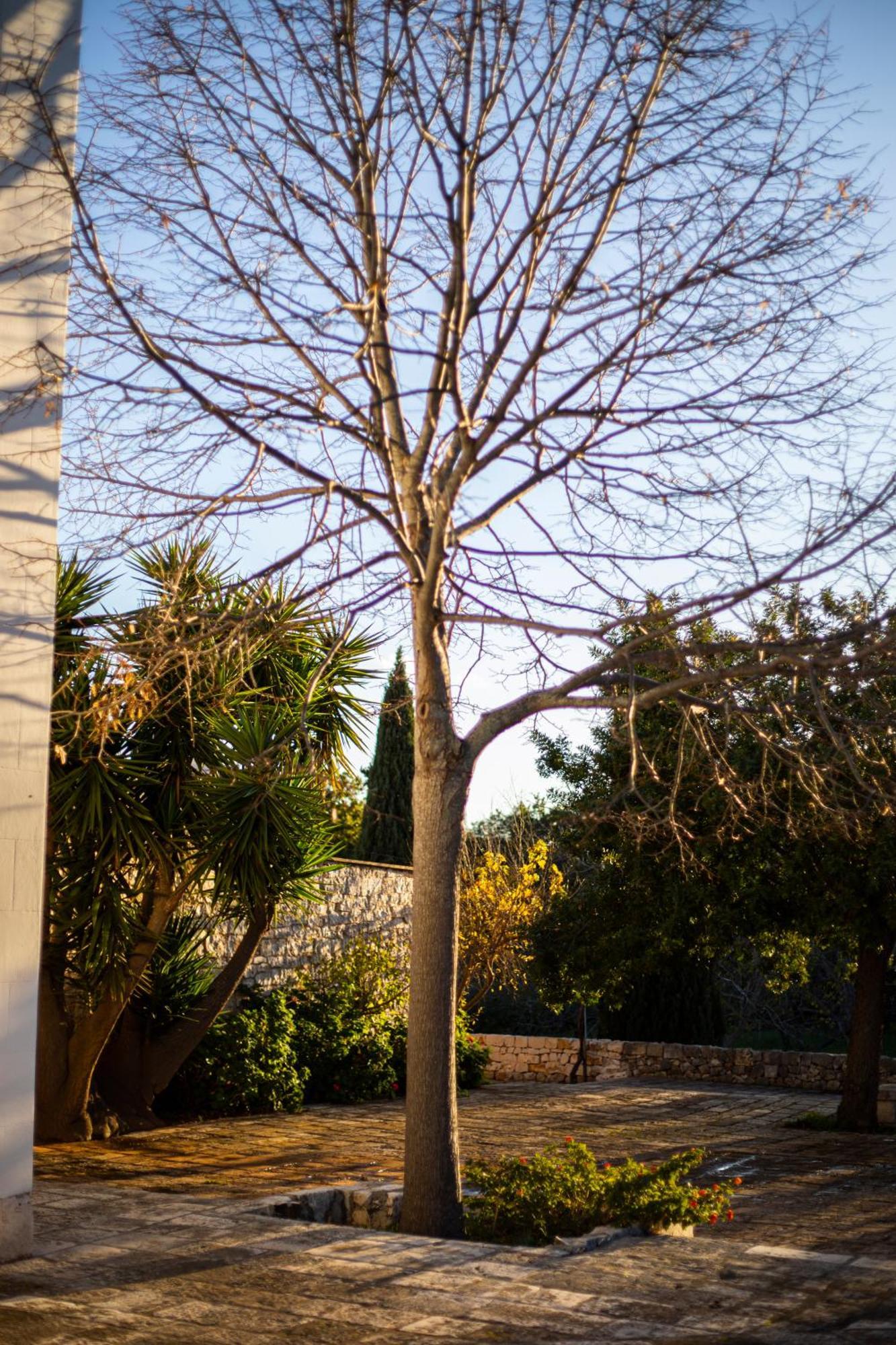 Masseria Del Crocifisso Polignano a Mare Exterior foto